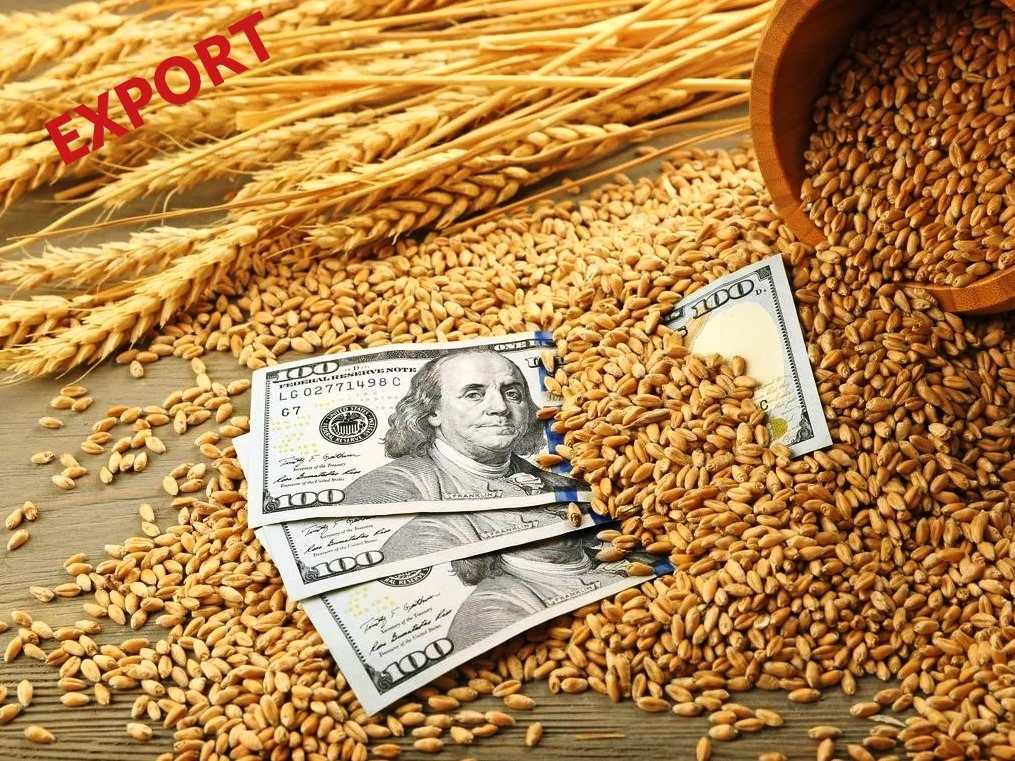 Экспорте сельхоз культур из России