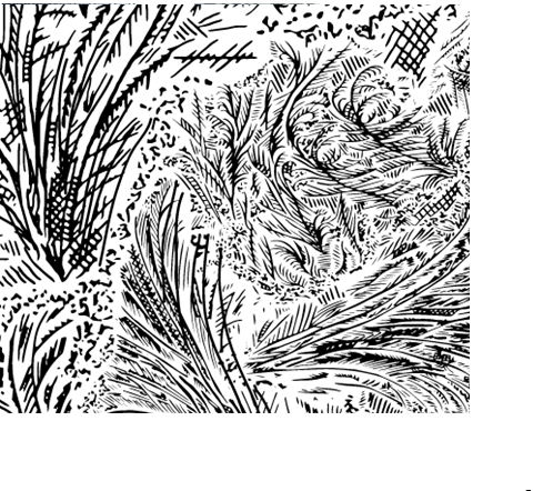 Декоративная нерж. сталь и мебель из неё