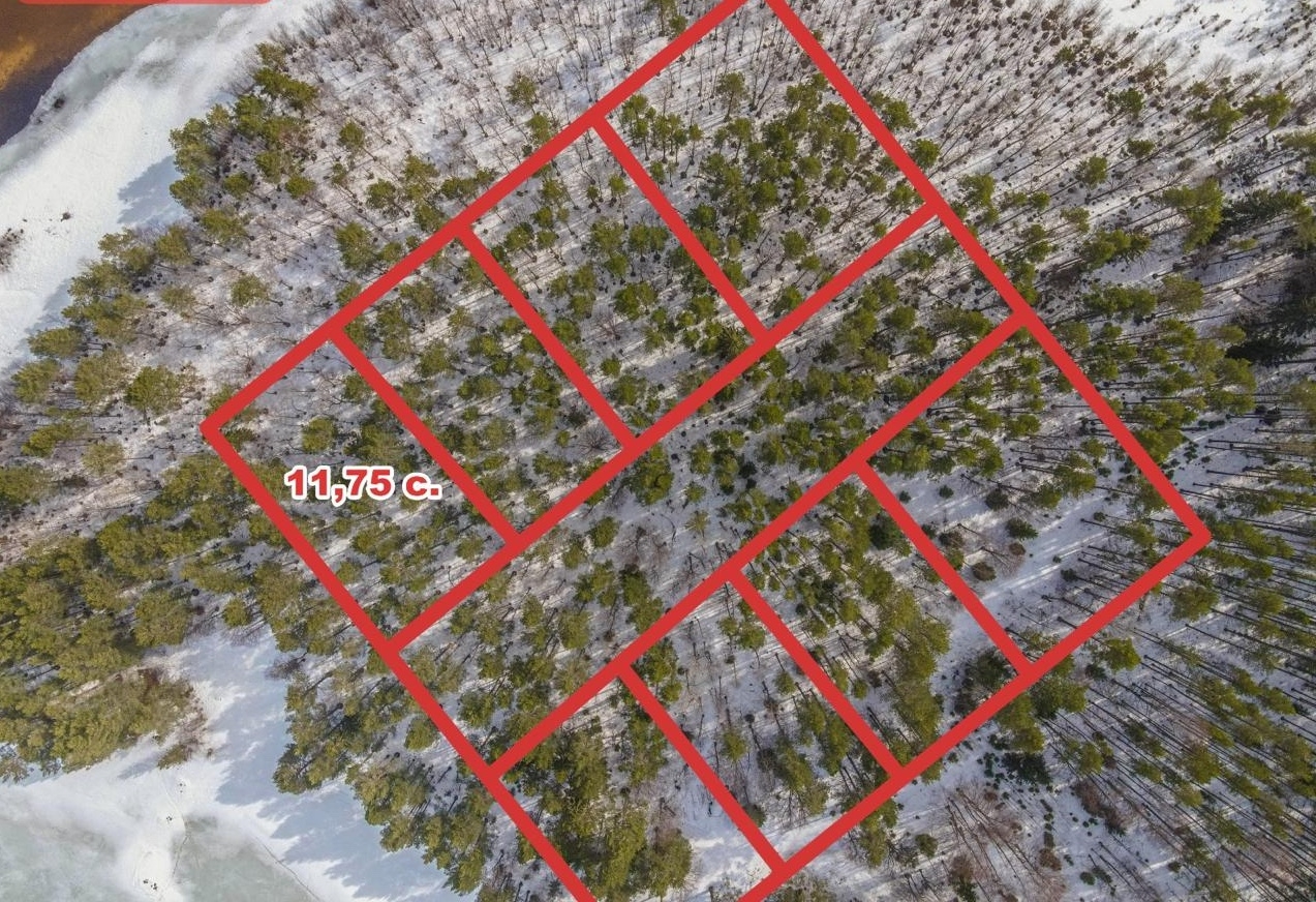 Ищу инвестора для строительства комплекса домов под сдачу в аренду