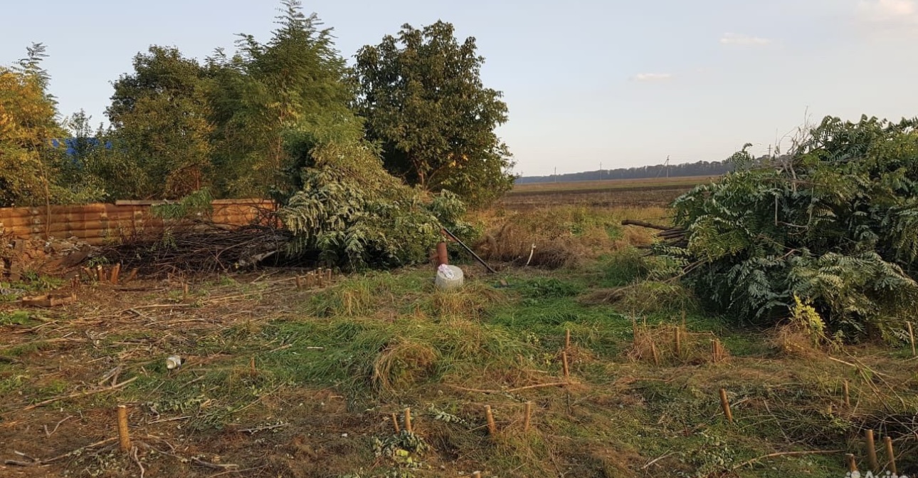 Ищу партнера в агробизнес 3